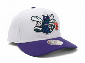 Mitchell & Ness Pánská kšiltovka Charlotte Hornets NBA Team 2 Tone 2.0 Pro Snapback HWC