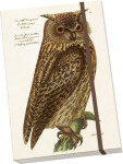 Notýsek Forest Animals Owl
