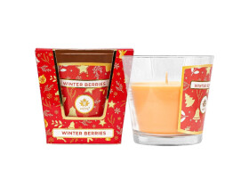 ARÔME - Zimní směs bobulí Vonná svíčka 120 g