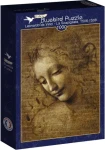 BLUEBIRD Puzzle La Scapigliata (1506-1508)