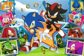 Trefl - Puzzle - Sonic: Seznamte se s ježkem