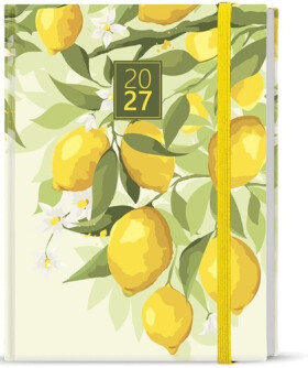 Týdenní diář 2027 Prokop Lamino B6 Citron