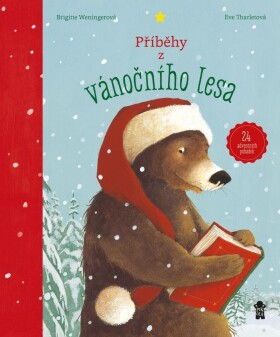 Příběhy z vánočního lesa – 24 adventních pohádek - Brigitte Weningerová