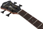 Ibanez AEGB25E Transparent Black