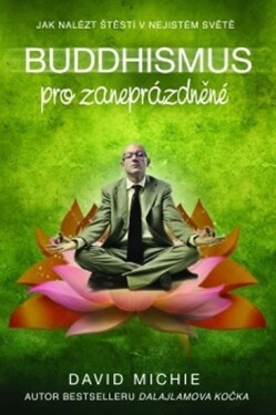 Buddhismus pro zaneprázdněné - David Michie