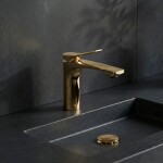 REA - Umyvadlová baterie PREMIUM Vision Gold Low REA-B6341