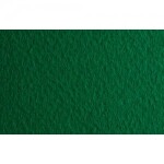 Fabriano Tiziano 50x65 cm 160g Biliardo