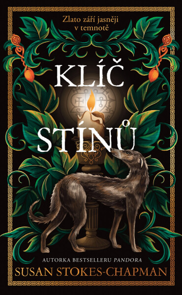 Klíč stínů - Susan Stokes-Chapman