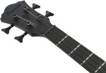 Ibanez AEGB420 BOT