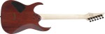 Ibanez RG421S Sea Shore