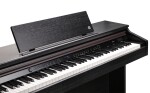 Kurzweil CUP E1 SR