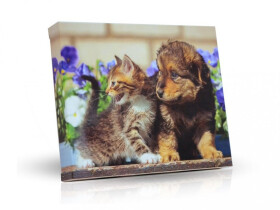 Pes s kočkou čoko pohárky 125g