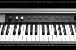 Kurzweil CUP P1 BP