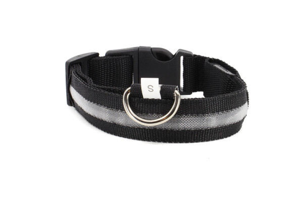 Small svítící obojek pro psy | 28 - 43 cm Barva: Bílá, Obvod krku: 33 - 43 cm