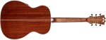D'Angelico Premier Tammany Iced Tea Burst