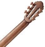 Cort AC-200 OP
