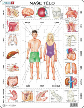 Puzzle 35 Naše tělo deskové - Larsen