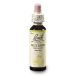 Hořčice polní (Mustard) 20 ml - Bachovy esence Dr.Bach