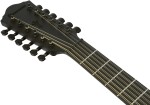 Ibanez AEG1221-BOT