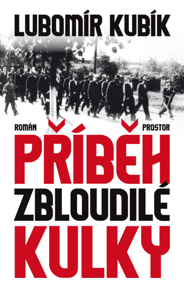 Příběh zbloudilé kulky - Lubomír Kubík