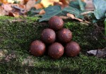 Mivardi Boilies Rapid Platinum ProActive Sea,Mivardi Boilies Rapid Platinum ProActive Sea