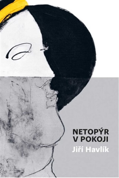 Netopýr v pokoji - Jiří Havlík