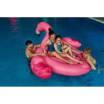 Plavky AquaWave Seaweed W 92800481982 L