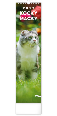 NOTIQUE Kalendář 2027 nástěnný: Kočky, 12 x 48 cm
