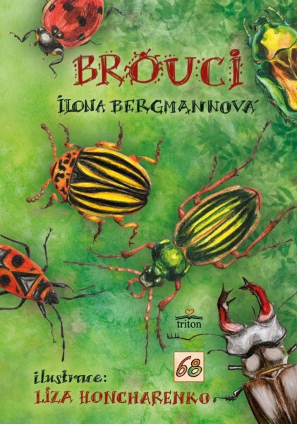 Brouci - Ilona Bergmannová