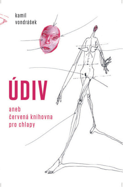 Údiv - Kamil Vondrášek