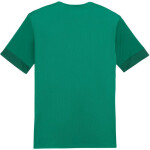 Puma teamGoal Matchday Jersey M 705747 05 pánské m