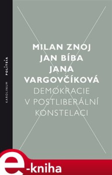 Demokracie v postliberální konstelaci - Milan Znoj, Jan Bíba, Jana Vargovčíková e-kniha