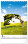 Nástěnný kalendář Stromy 2025, 33 46 cm