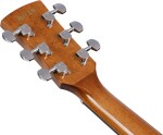 Ibanez PF34MHE NT