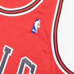 Mitchell & Ness Pánský dres Chicago Bulls NBA B.J. Armstrong #10 1990-91 Swingman Velikost: L