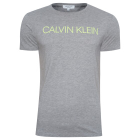 Pánské tričko s krátkým rukávem KM0KM00328-033 - Calvin Klein L