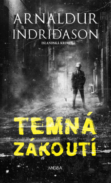 Temná zákoutí - Arnaldur Indridason