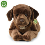 Eco-Friendly RAPPA pes labrador 61 cm