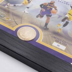 Obraz Los Angeles Lakers NBA LeBron James All-Time Leading Scorer Bronze Coin