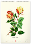 Nástěnný kalendář 2026 NOTIQUE - Vintage plakáty – herbář, 33 x 46 cm