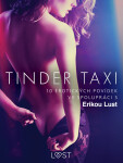 Tinder taxi: 10 erotických povídek ve spolupráci s Erikou Lust - Anita Bang, Lea Lind, Sarah Skov, Reiner Larsen Wiese