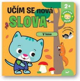 Učím se nová slova lese