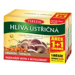 Terezia Hlíva s rakytníkovým olejem AKCE 60 kapslí + 60 kapslí