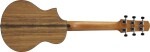 Ibanez EWP14 Natural