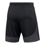 Šortky Nike Dri-FIT Academy Pro M DH9236-014 XL (188 cm)