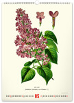 Nástěnný kalendář 2026 NOTIQUE - Vintage plakáty – herbář, 33 x 46 cm