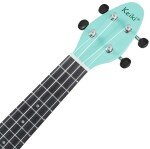 Ortega K2-CBM