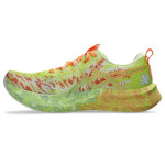Boty Asics Noosa Tri 16 M 1011B872750 43,5