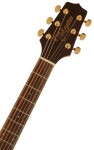 Takamine GD51 Brown Sunburst