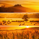 Nástěnný poznámkový kalendář 2026 NOTIQUE - Paleta, 30 x 30 cm - BEZ ČEŠTINY